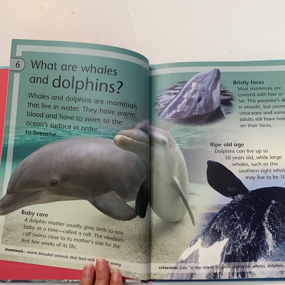 Whales and dolphins by Caroline Harris - Picture 3 of 10